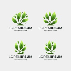 Modern Green Leaf Logo Template