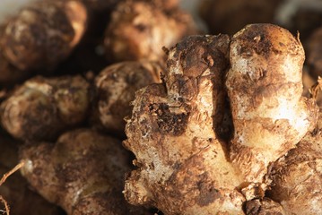 healthy ginger root from Ethiopian