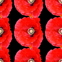 Seamless pattern design large poppies black background