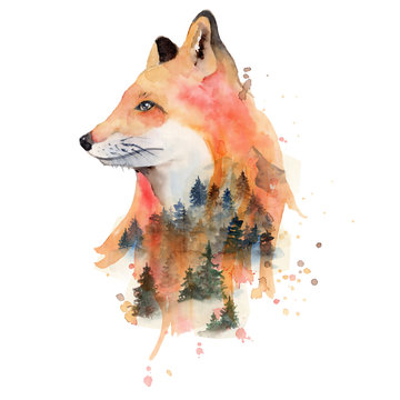 Watercolor fox with double exposure effect Animal illustration isolated on white background.