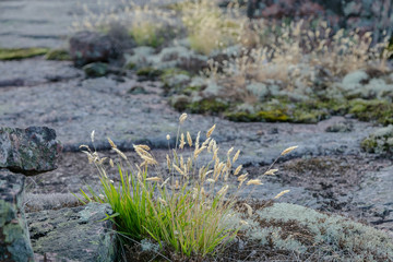 Åland Islands, red granite