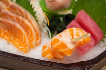 Raw salmon sashimi slice on ice Japanese food