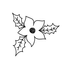 Doodle style illustration of holly flower