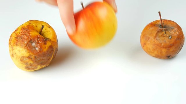 Female hand takes ripe juicy and fresh apple and puts ripened rotten spoiled apples on white background