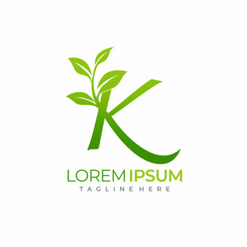 Letter K Green Plant Leaf Logo Vector