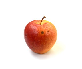 Overripe Rotten apple isolated on a white background