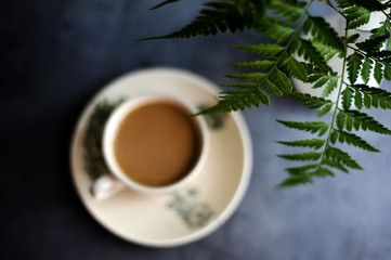 Selective focus a cup of coffee milk and fern leaf over the rustic black background