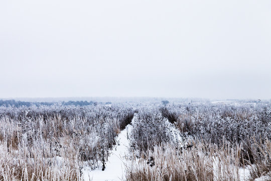 Beautiful winter landscape in russian province. Toned