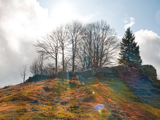Montaña con arboles y nubes