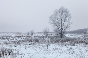Fototapeta na wymiar Beautiful winter landscape in russian province