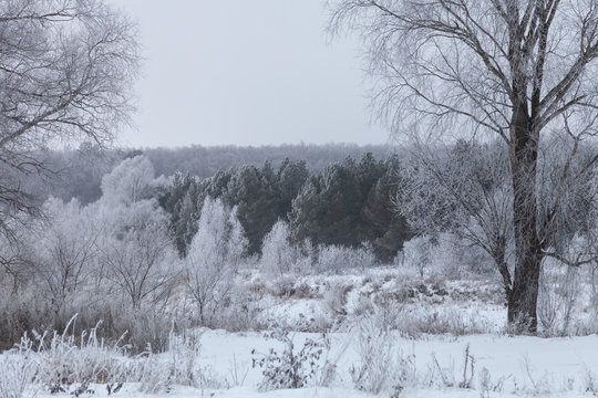 Beautiful winter landscape in russian province