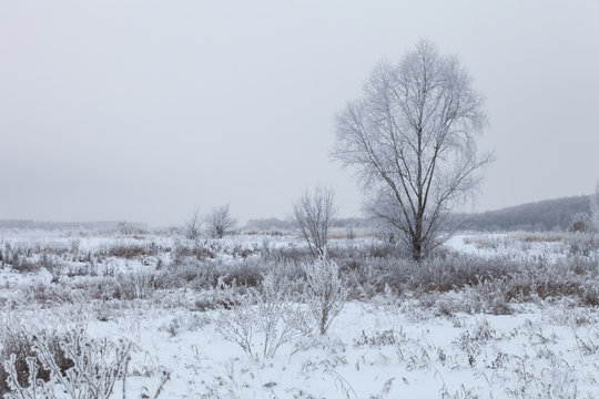 Beautiful winter landscape in russian province