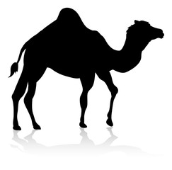 An animal silhouette of a camel