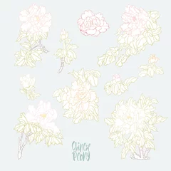 Meubelstickers Peony tree branch with flowers in the style of Chinese painting on silk. Elements for design. Colored vector illustration. Isolated on white background.. © Elen  Lane