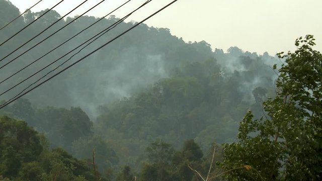 Mist rises from a valley in a hilly forested area preceding a breeze, hinting at a coming rain