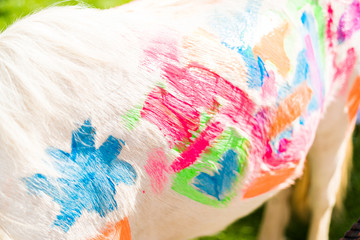 Unicorn Birthday Party