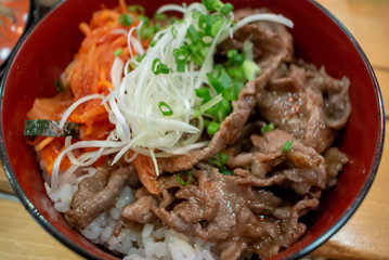 Japanese food ,beef with broccoli and rice on a plate close-up. horizontal view from above