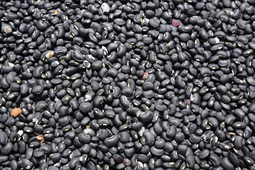 Fototapeta na wymiar Black bean and Seed pod, is raw food.