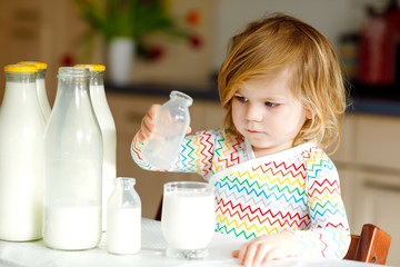 Adorable toddler girl drinking cow milk for breakfast. Cute baby daughter with lots of bottles....