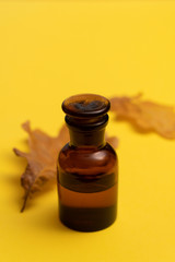 Dry oak leaves and a small glass bottle on yellow background