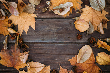 Autumn leaves on wooden wallpaper with copy space. Thanksgiving background