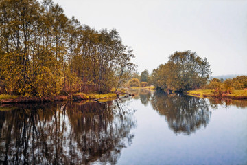 Fototapeta na wymiar Autumn forest river trees landscape