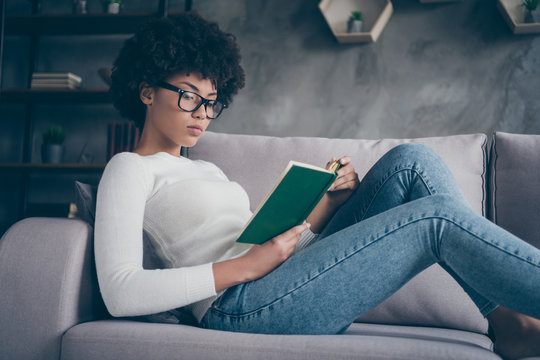 Profile photo of pretty dark skin curly lady holding favorite historic love novel hands reading seriously sitting cozy couch wear specs casual sweater jeans outfit flat indoors