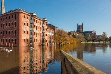 Flood and swans by Worcester bridge Worcestershire UK