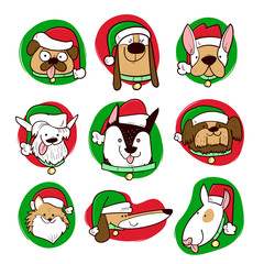 Dressed dogs at Christmas season