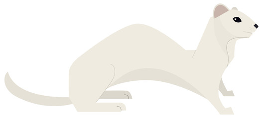 Wild animals Vector illustration Least weasel Isolated object