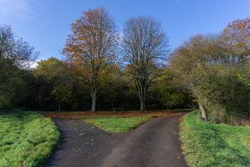 Fototapeta na wymiar Wegteilung anch links oder rechts im Herbst
