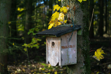 Vogelhäuschen am Baum mit gelben Blättern