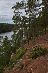 The nature of Karelia.Typical Karelian landscape on the island of Valaam: forest of conifers, Lake Ladoga, crag and volcanic rocks. Russia, Karelia.
