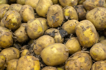 raw potato background, texture, sale of fresh vegetables