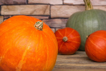 Diversity kinds of orange and green pumpkins. Different varieties of squashes