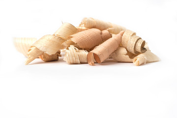 Fototapeta na wymiar Wood shavings, beautifully curled in to a spiral isolated on white