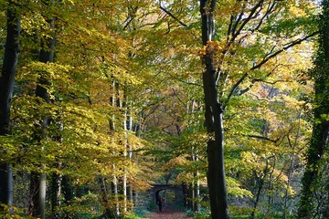 Netherlands. Autumn in The Hague