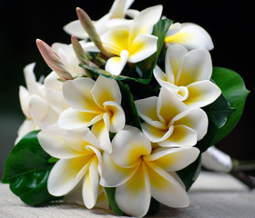 Bridal Bouquet of Frangipani Flowers. Tropical Wedding Flowers.