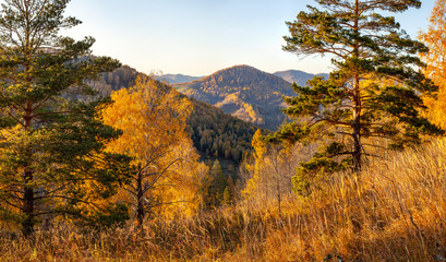 Forested mountains, autumn nature on a sunny evening