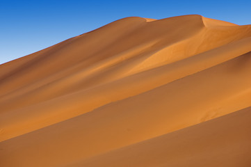 Fototapeta na wymiar Sand dunes in the Sharjah