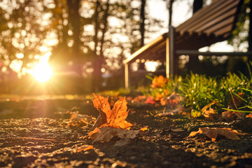 Autumn leaves are lying on the ground in front of a bench in the evening sunlight during sunset. Seen in Franconia / Bavaria, Germany in October.