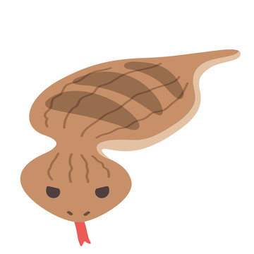 ツチノコ