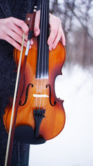 violin on white background