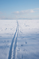 cross-country ski trail in wintry landscape vertical