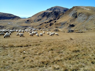 group of people in the mountains