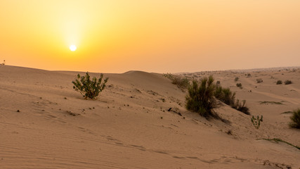 Fototapeta na wymiar United Arab Emirates sunset in the desert, dubai