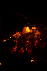 Burning wood Bonfire closeup with Red and orange flame on black background