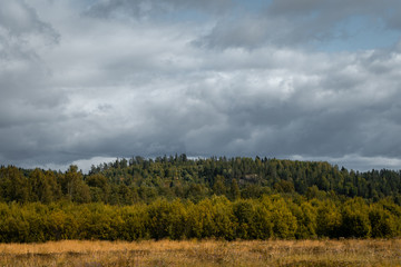 Northern nature of Russia. Forests of Karelia during cloudy weather