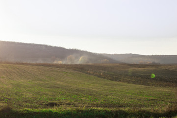 Fototapeta na wymiar Green plowed meadow on a background of hills with a haze.