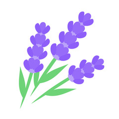 Lavender design on white background